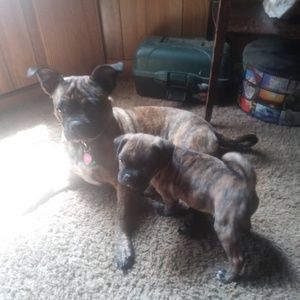 Meet your Posher, Maddie